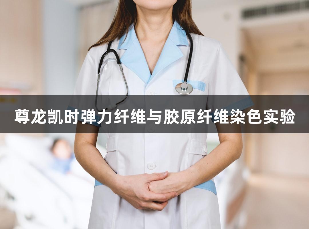 尊龙凯时弹力纤维与胶原纤维染色实验