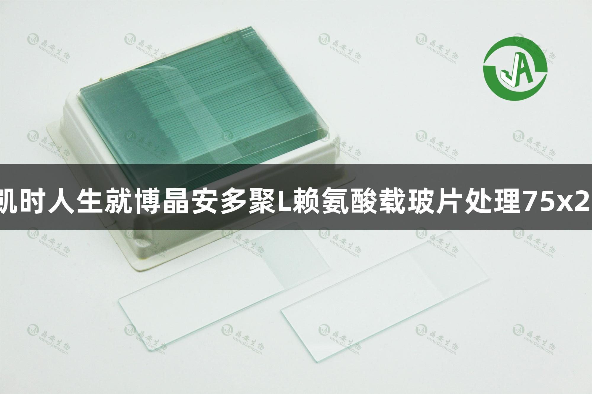 尊龙凯时人生就博晶安多聚L赖氨酸载玻片处理75x25mm