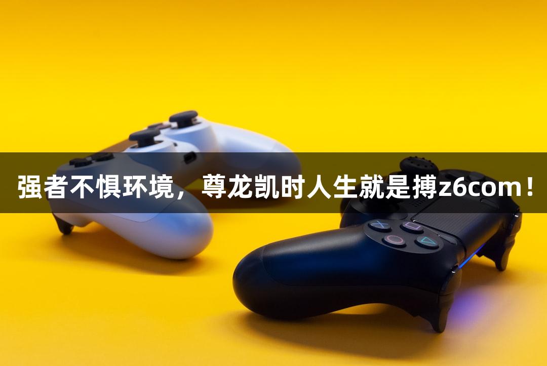 强者不惧环境，尊龙凯时人生就是搏z6com！