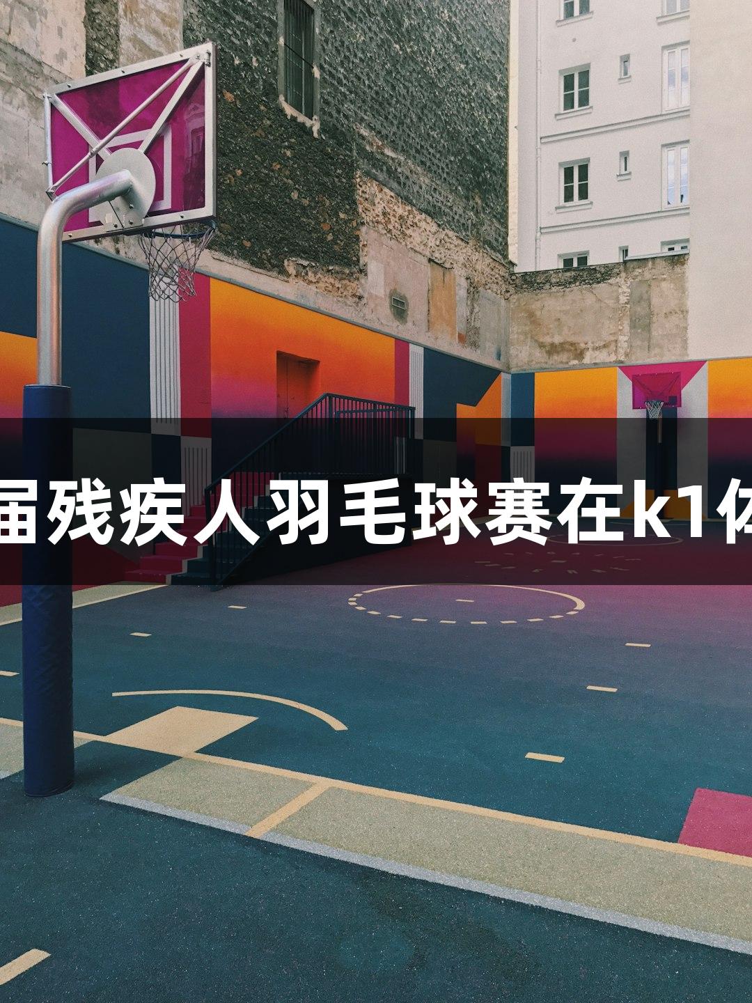 东营市第九届残疾人羽毛球赛在k1体育盛大举行