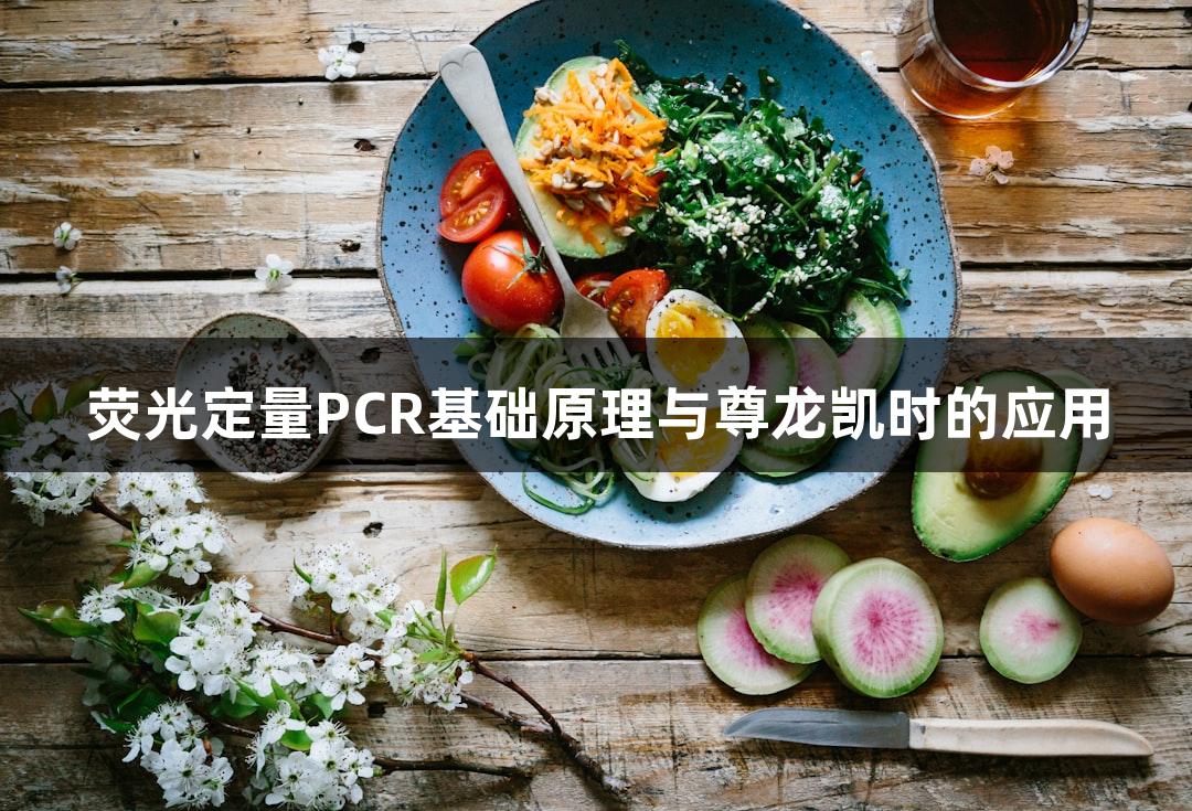 荧光定量PCR基础原理与尊龙凯时的应用