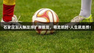 石家庄五人制足球扩展圈层，尊龙凯时-人生就是搏!