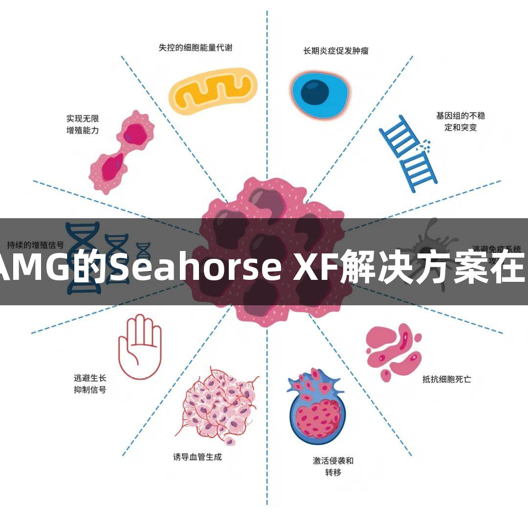 新葡萄8883官网AMG的Seahorse XF解决方案在癌症研究中的应用