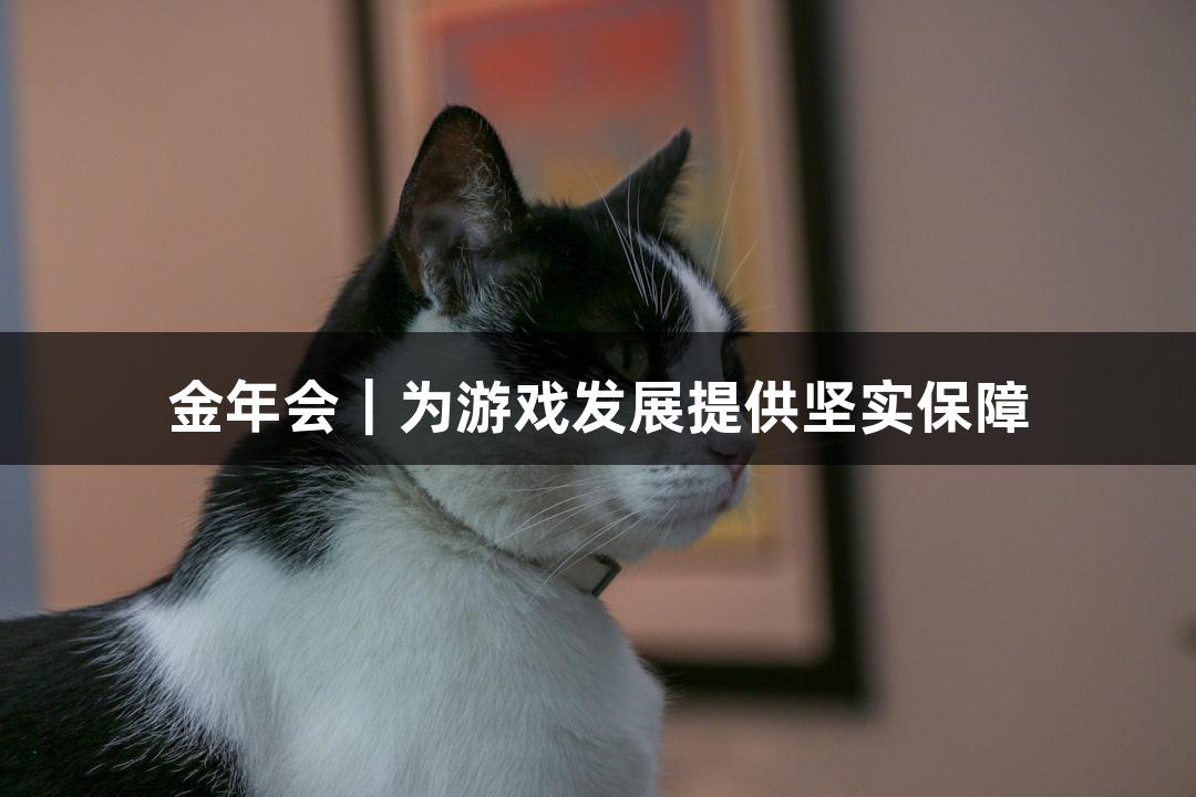金年会｜为游戏发展提供坚实保障