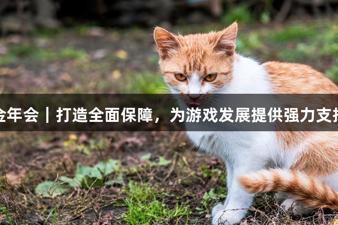金年会｜打造全面保障，为游戏发展提供强力支持
