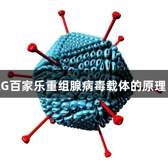 每周凯会：AG百家乐重组腺病毒载体的原理、构建与应用