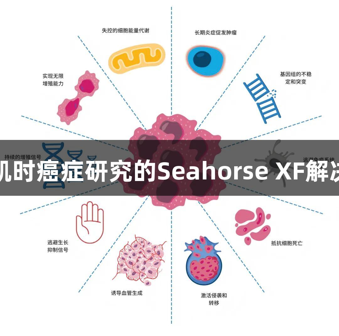尊龙凯时癌症研究的Seahorse XF解决方案