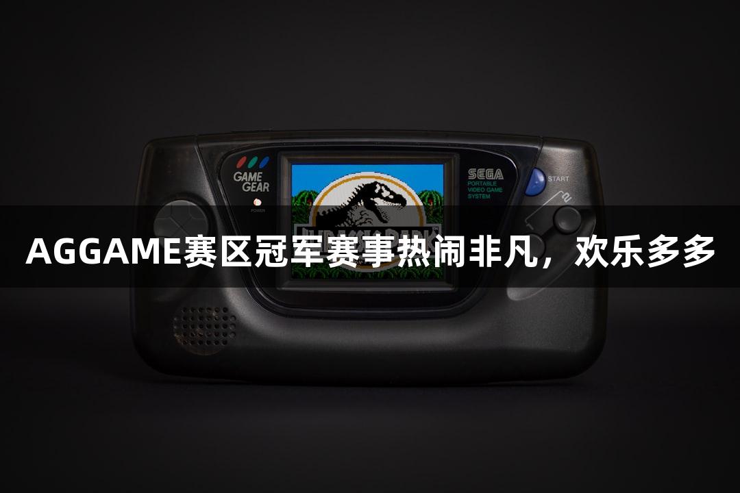 AGGAME赛区冠军赛事热闹非凡，欢乐多多