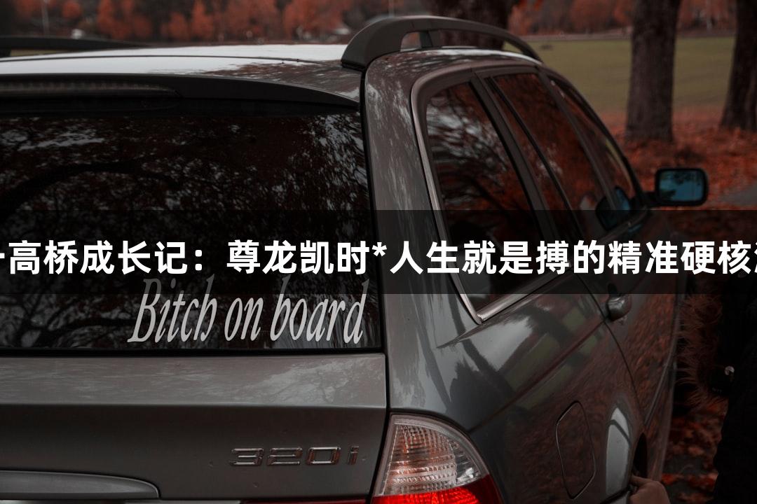 世界第一高桥成长记：尊龙凯时*人生就是搏的精准硬核测量之旅