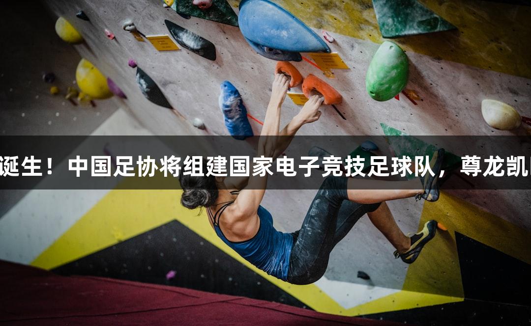 电竞国足即将诞生！中国足协将组建国家电子竞技足球队，尊龙凯时人生就是搏！
