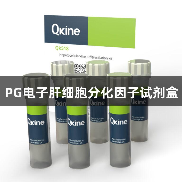 PG电子肝细胞分化因子试剂盒