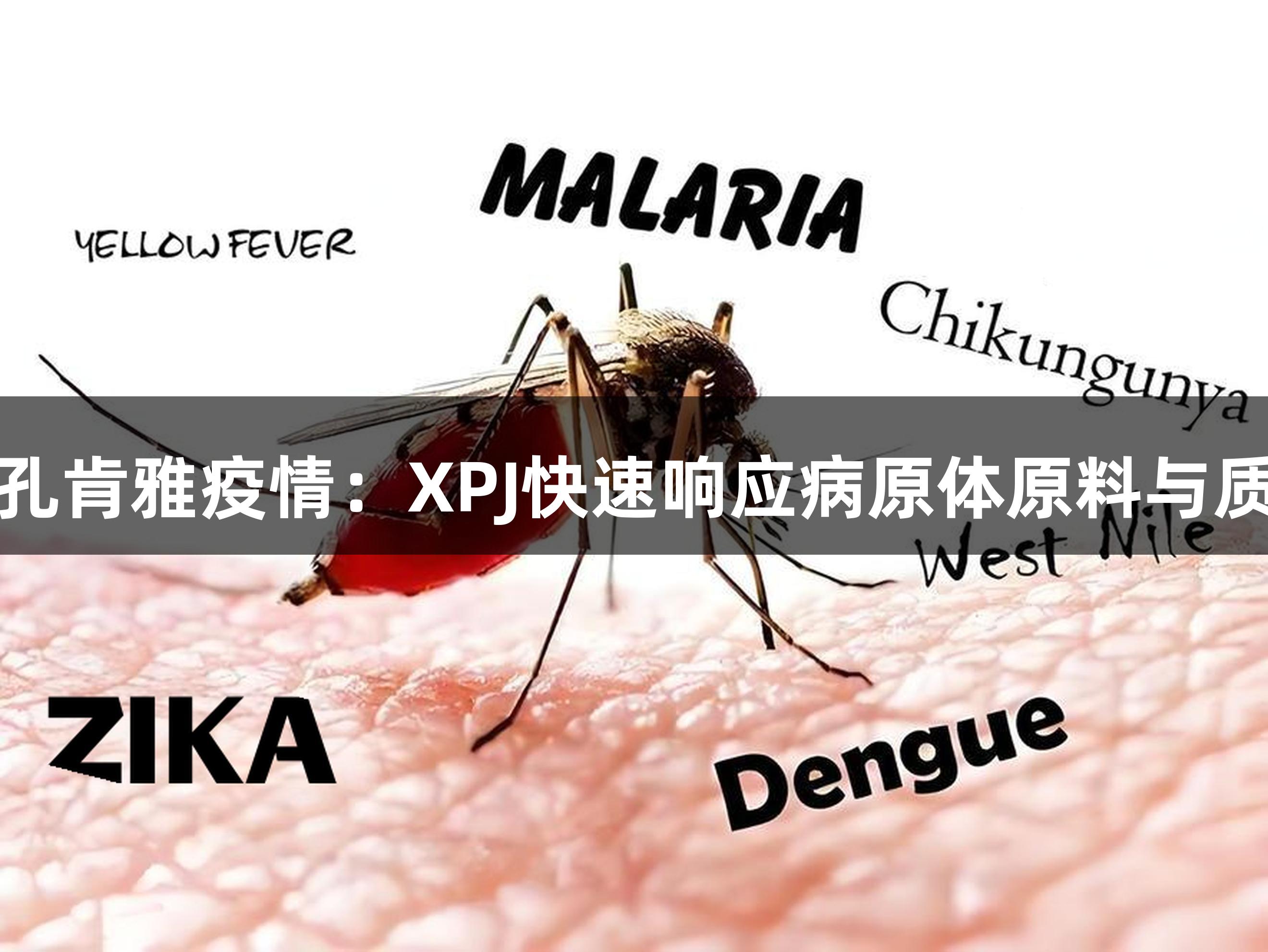 直面基孔肯雅疫情：XPJ快速响应病原体原料与质控方案