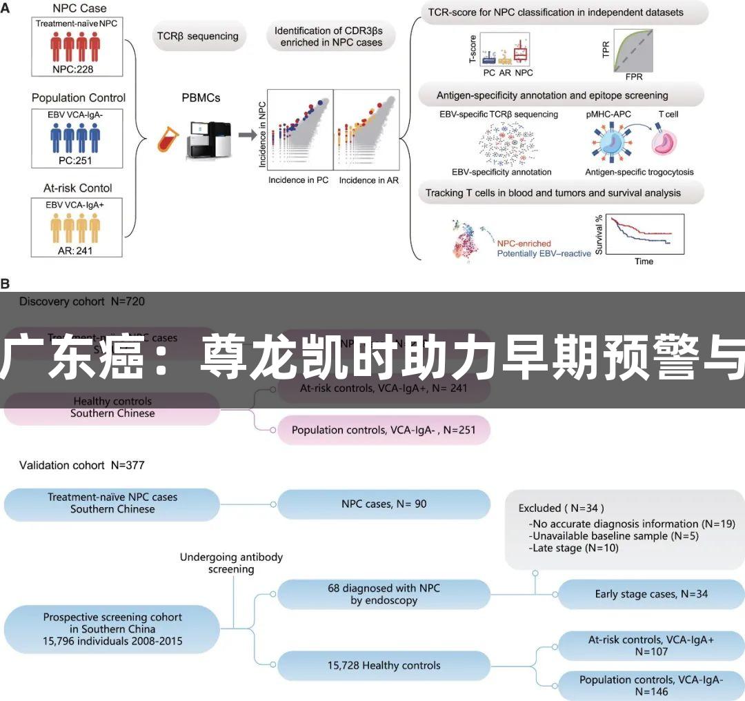 警惕广东癌：尊龙凯时助力早期预警与诊断