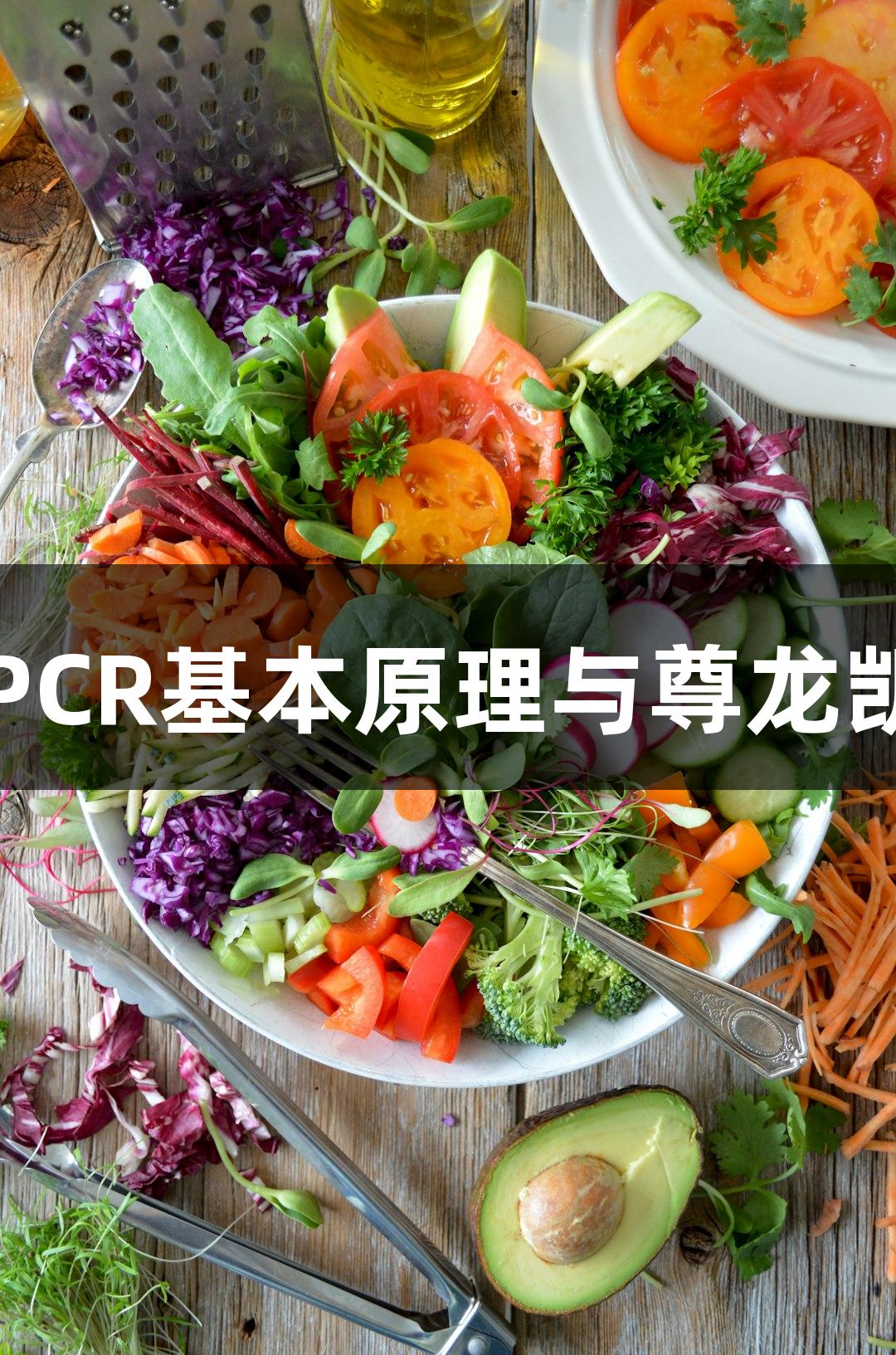 荧光定量PCR基本原理与尊龙凯时的应用