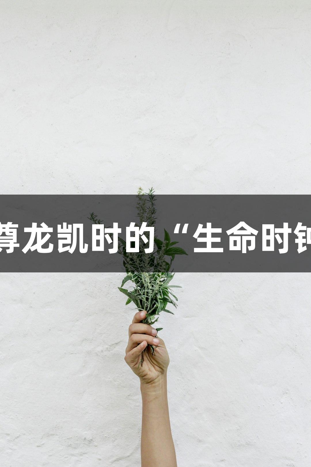 端粒酶：尊龙凯时的“生命时钟”守护者