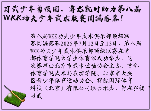 习武少年勇报国，尊龙凯时助力第八届WKK功夫少年武术联赛圆满落幕！