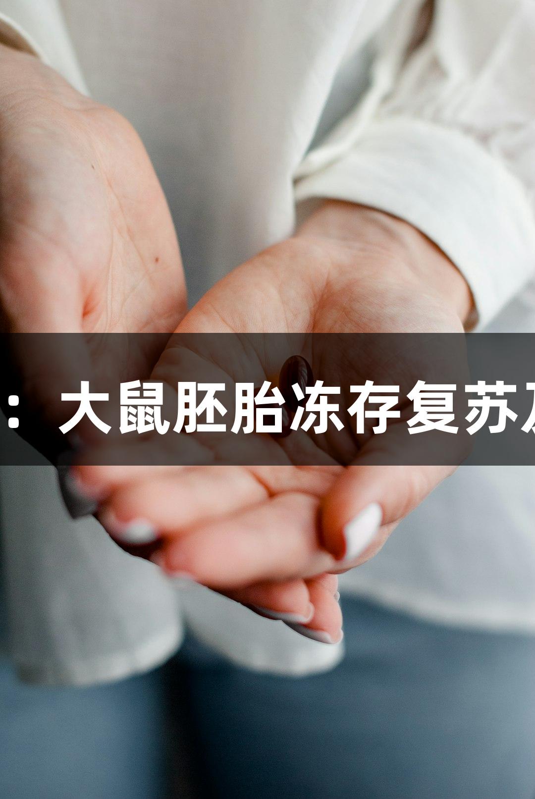 生殖科学与不朽情缘MG：大鼠胚胎冻存复苏及精卵细胞培养技术探讨