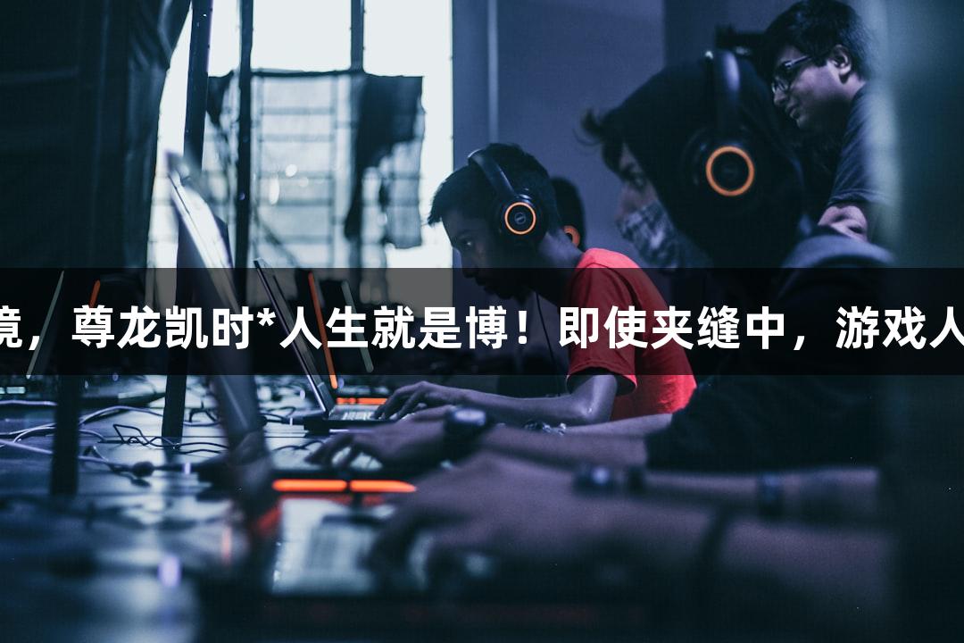 强者不畏环境，尊龙凯时*人生就是博！即使夹缝中，游戏人生一样精彩！