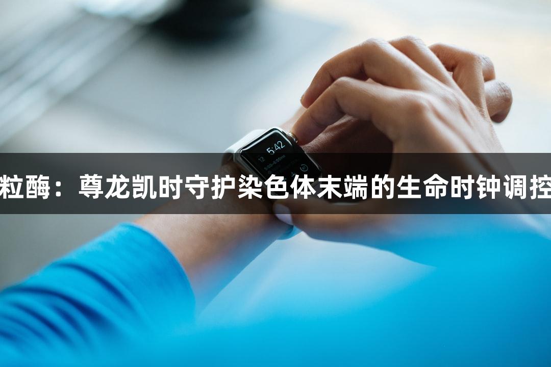 端粒酶：尊龙凯时守护染色体末端的生命时钟调控者