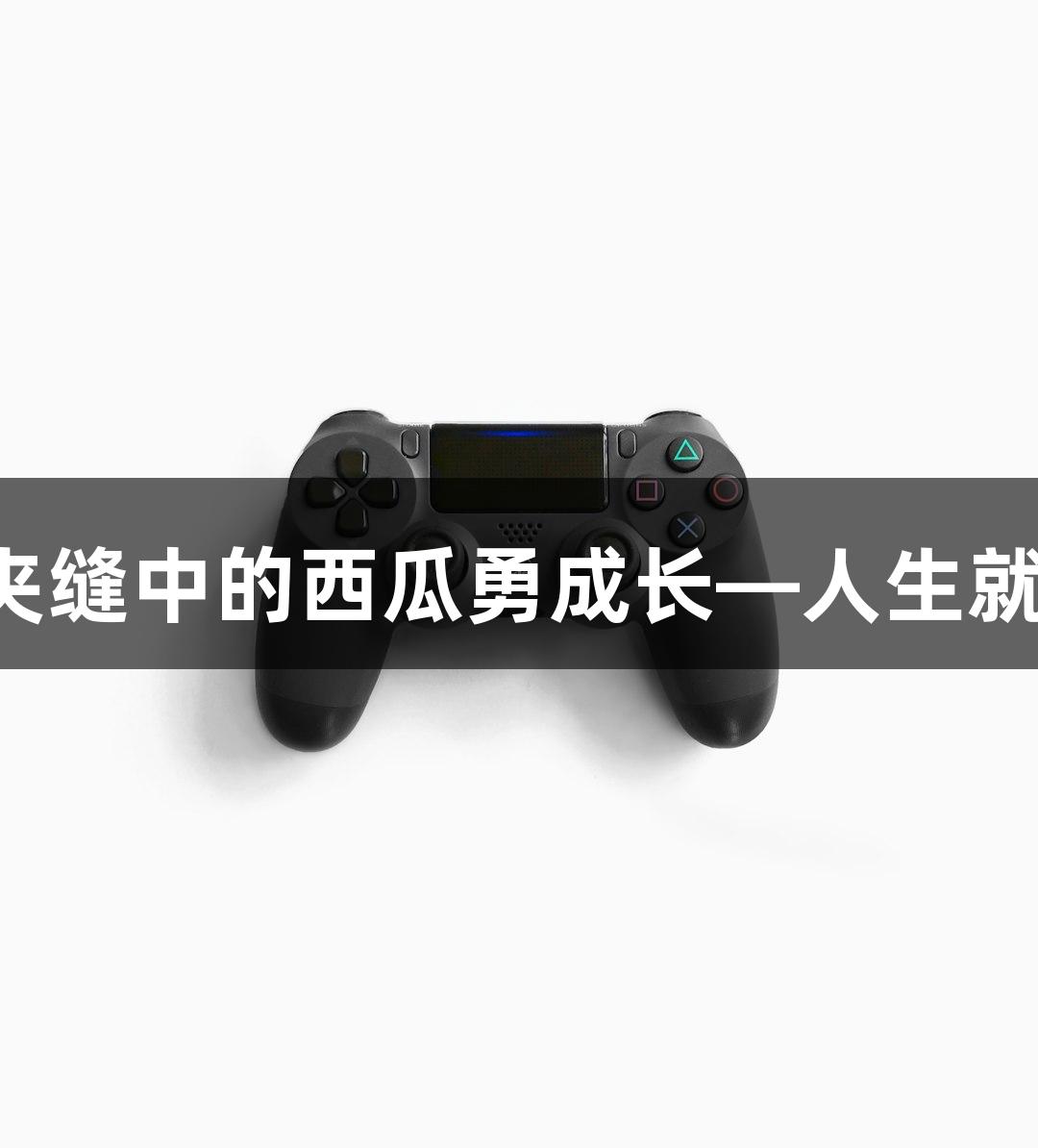 强者不怨环境，夹缝中的西瓜勇成长—人生就是博，尊龙凯时！