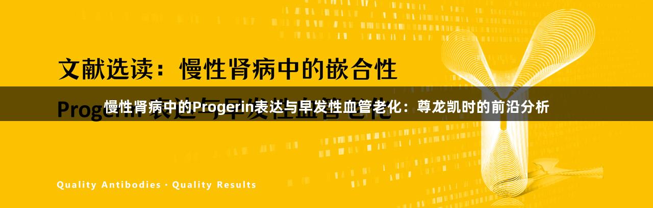 慢性肾病中的Progerin表达与早发性血管老化：尊龙凯时的前沿分析