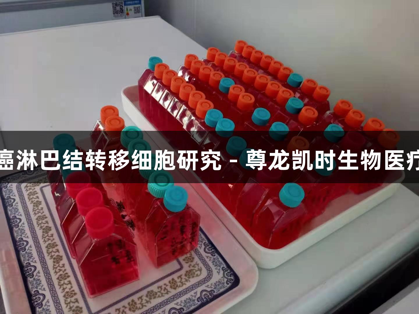 人喉癌淋巴结转移细胞研究 - 尊龙凯时生物医疗探索