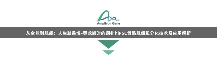 从全能到肌能：人生就是博-尊龙凯时的昂朴hiPSC骨骼肌细胞分化技术及应用解析