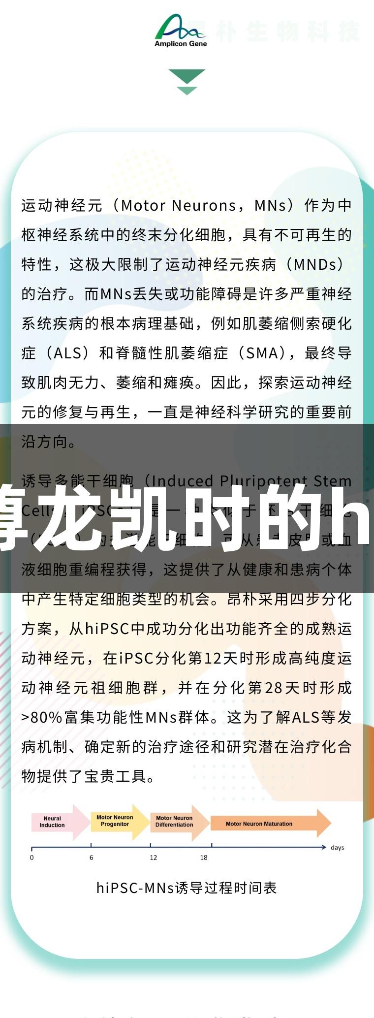 运动神经元再生密码：人生就是博-尊龙凯时的hiPSC运动神经元分化技术与应用介绍