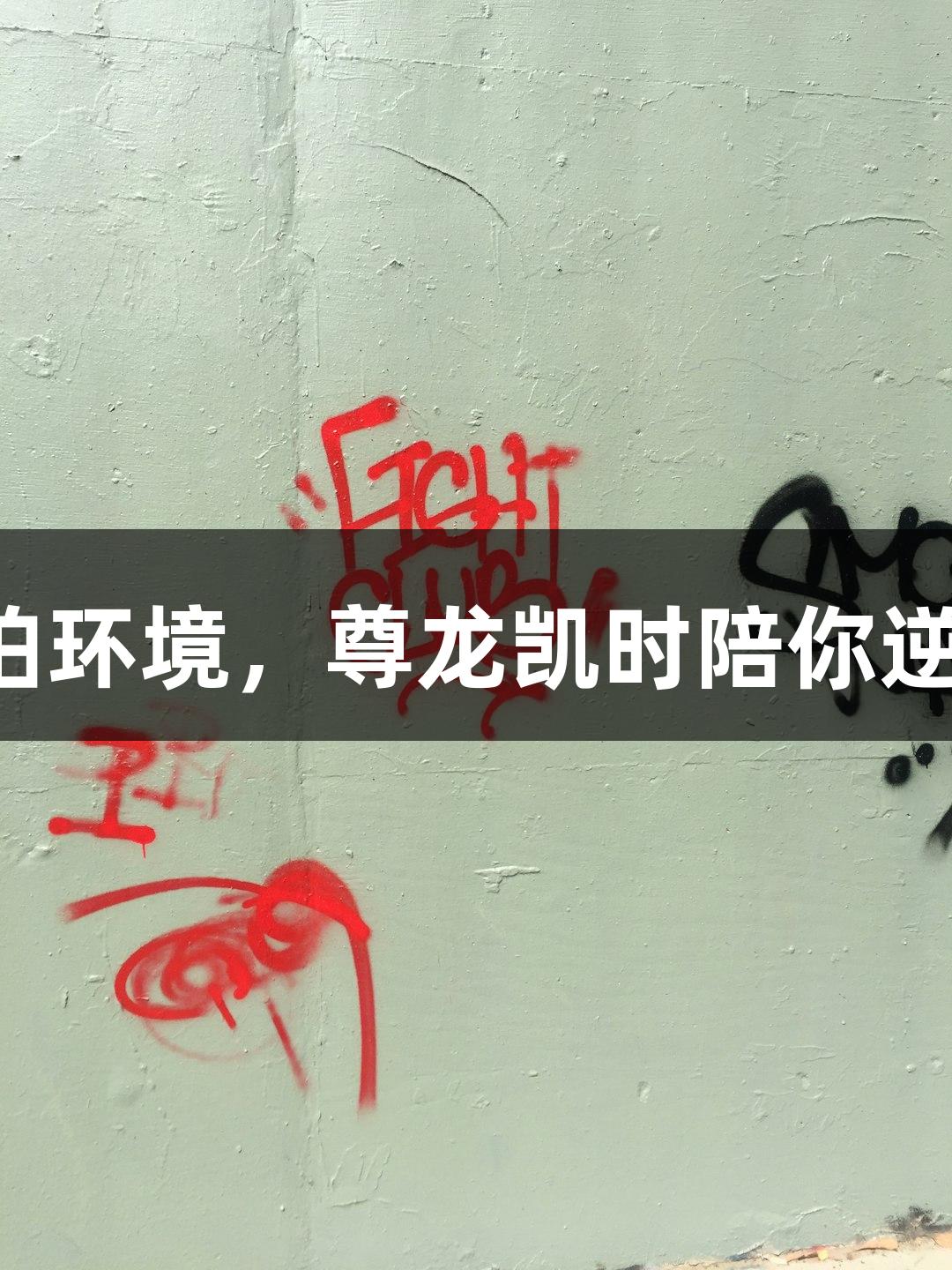 强者不怕环境，尊龙凯时陪你逆境成长！