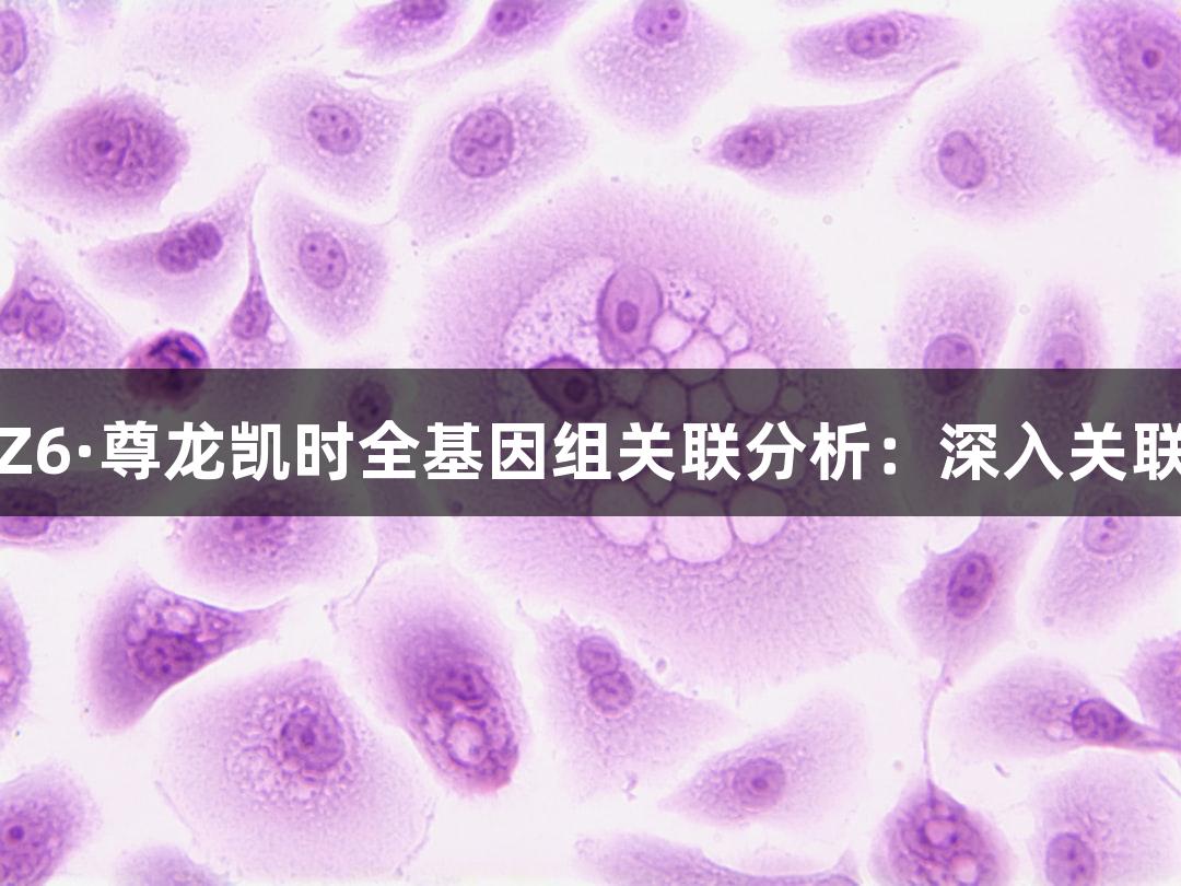 探秘Z6·尊龙凯时全基因组关联分析：深入关联分析