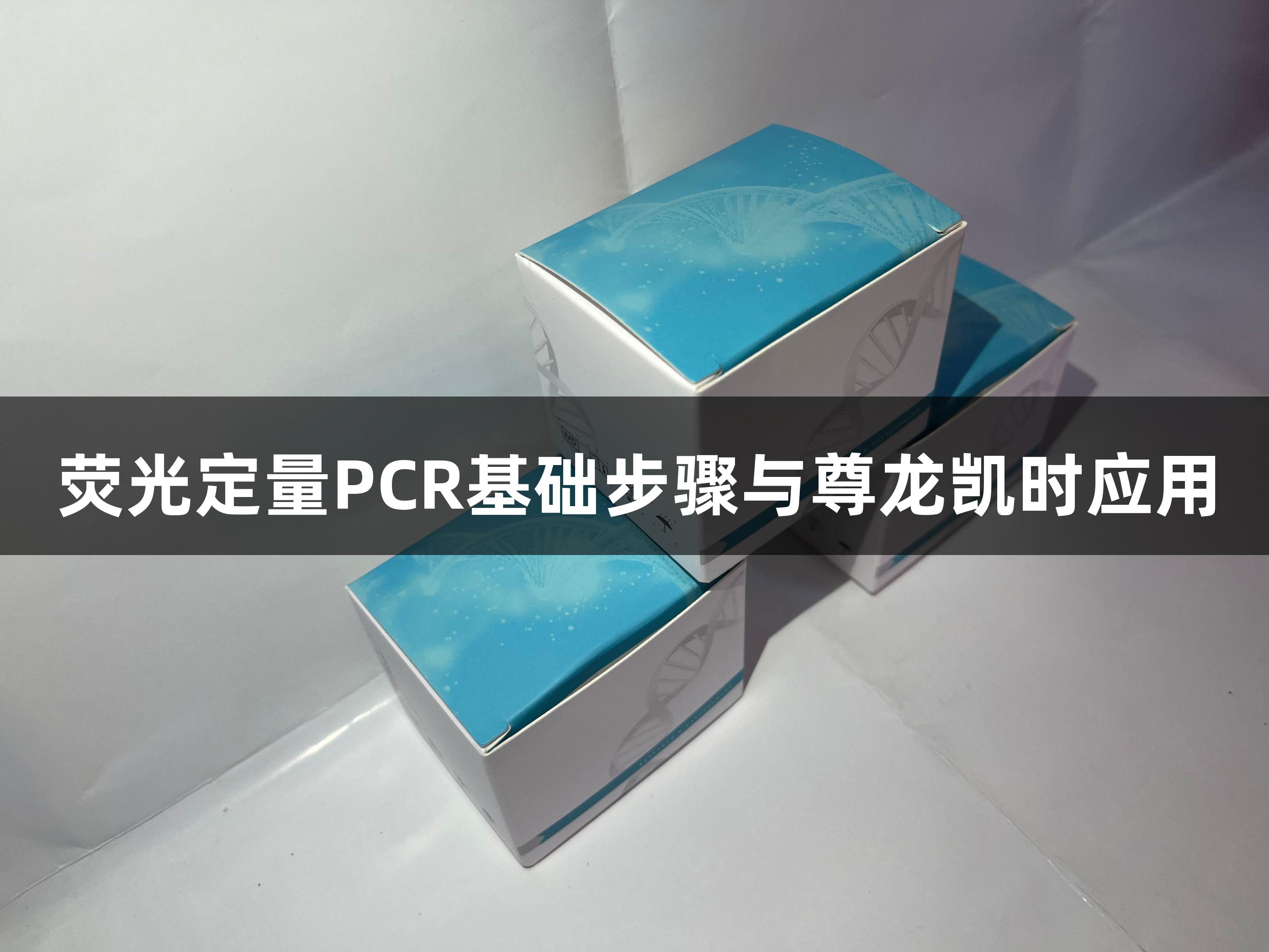 荧光定量PCR基础步骤与尊龙凯时应用