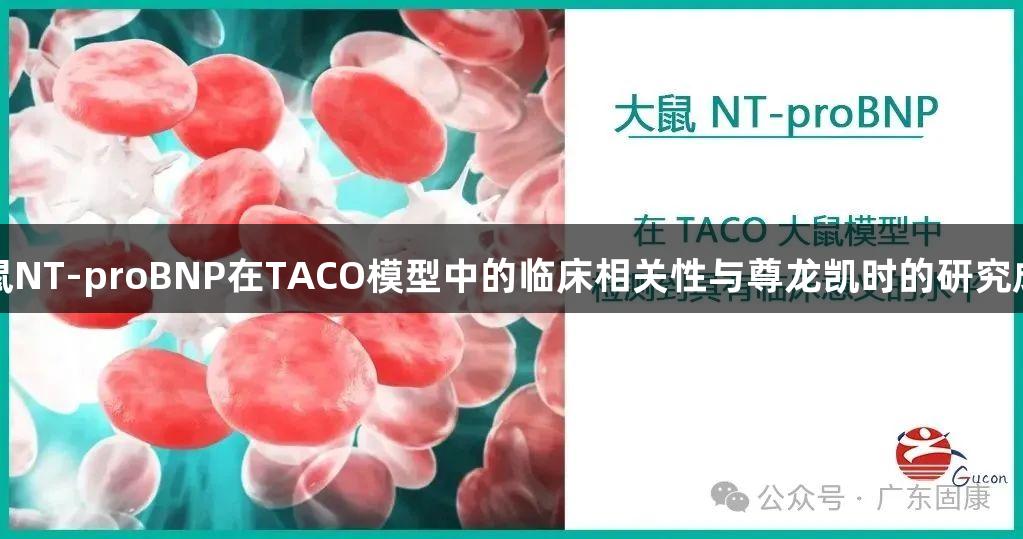 大鼠NT-proBNP在TACO模型中的临床相关性与尊龙凯时的研究成果