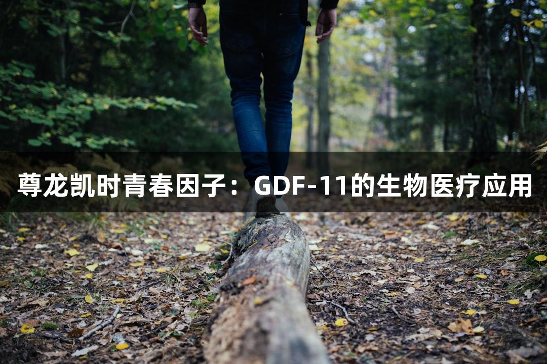 尊龙凯时青春因子：GDF-11的生物医疗应用