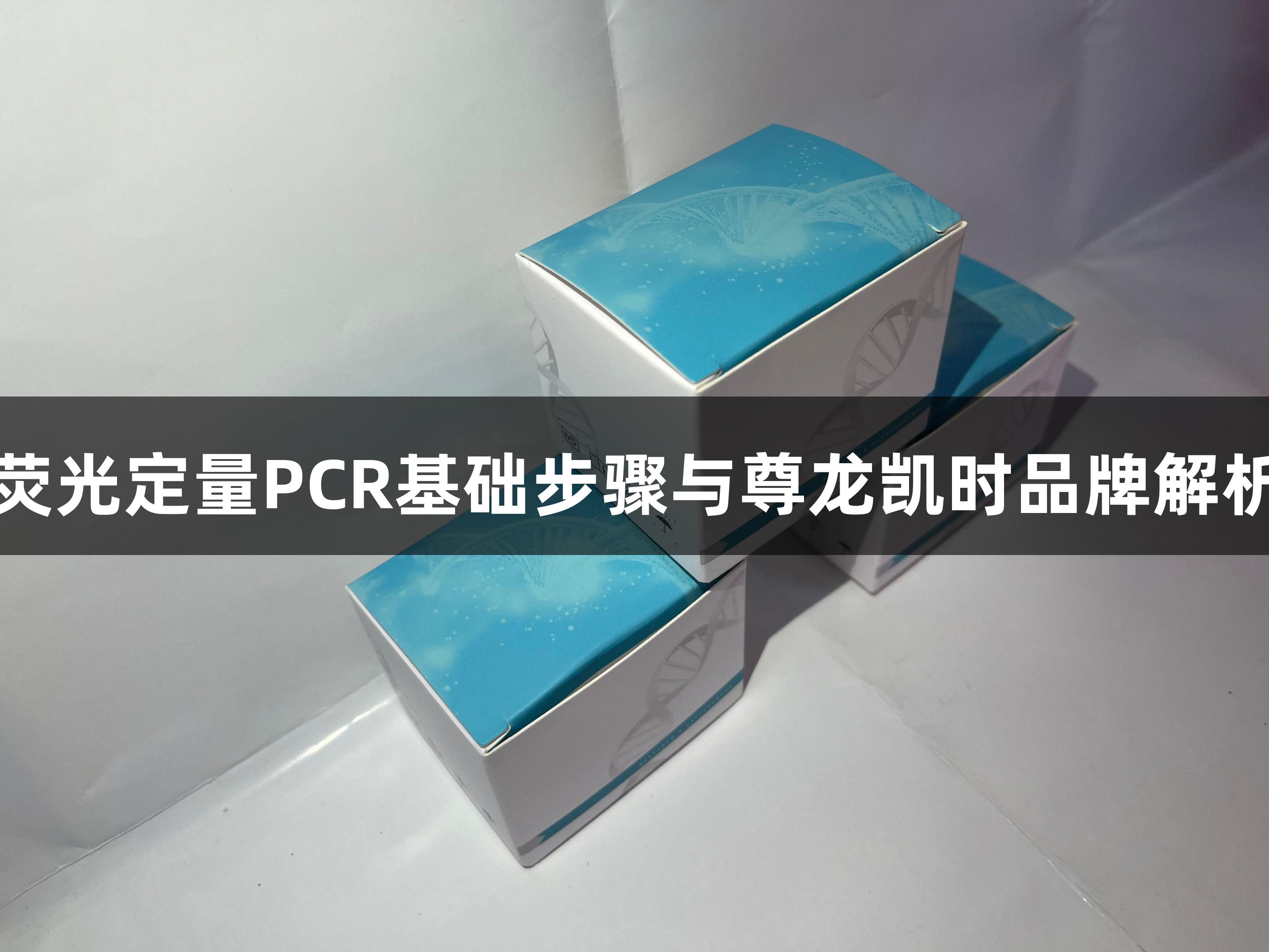 荧光定量PCR基础步骤与尊龙凯时品牌解析