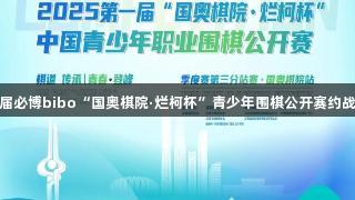 第一届必博bibo“国奥棋院·烂柯杯”青少年围棋公开赛约战泉城