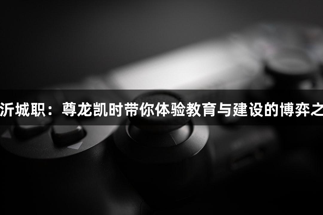 临沂城职：尊龙凯时带你体验教育与建设的博弈之旅