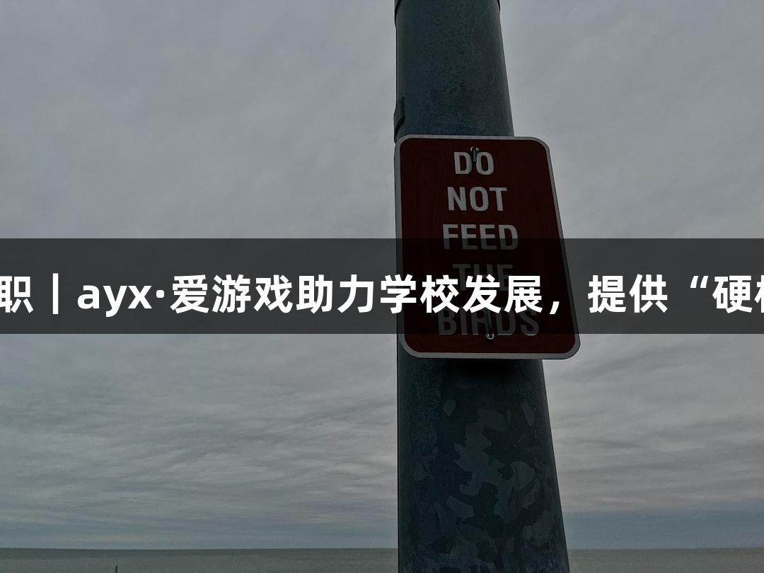 临沂城职｜ayx·爱游戏助力学校发展，提供“硬核支撑”