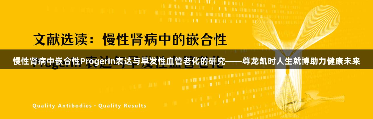 慢性肾病中嵌合性Progerin表达与早发性血管老化的研究——尊龙凯时人生就博助力健康未来