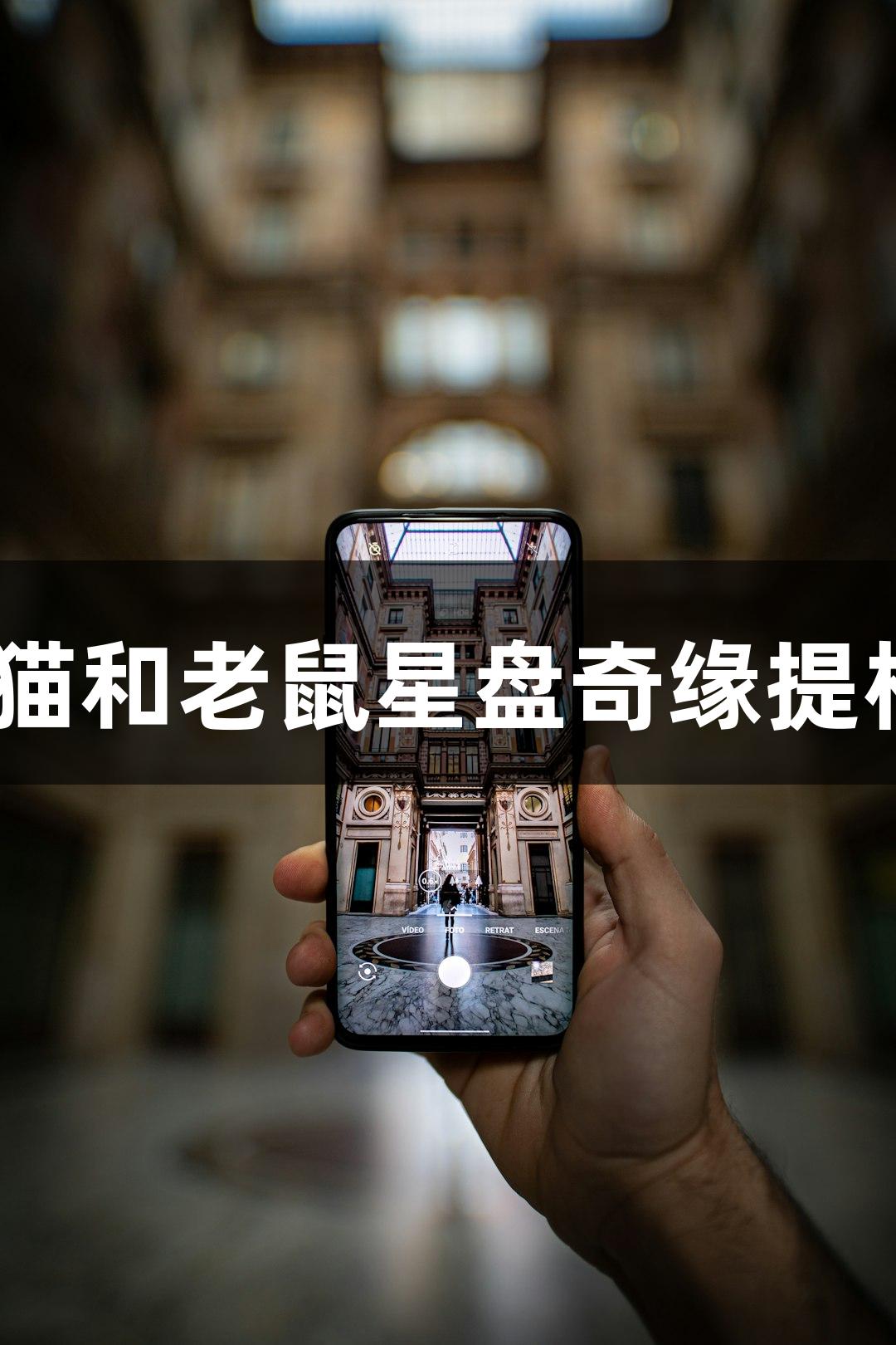 尊龙凯时联动献唱主题曲，猫和老鼠星盘奇缘提档至8月2日，探索奇幻之旅。