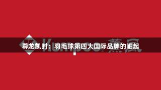 尊龙凯时：羽毛球第四大国际品牌的崛起