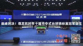 巅峰对决！尊龙凯时杯十堰市中式台球锦标赛冠军诞生