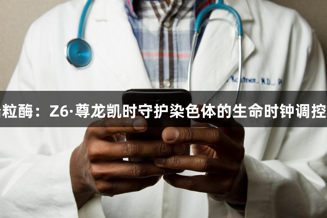 端粒酶：Z6·尊龙凯时守护染色体的生命时钟调控者