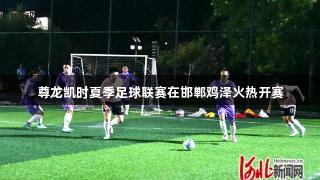 尊龙凯时夏季足球联赛在邯郸鸡泽火热开赛