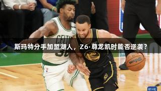 斯玛特分手加盟湖人，Z6·尊龙凯时能否逆袭？