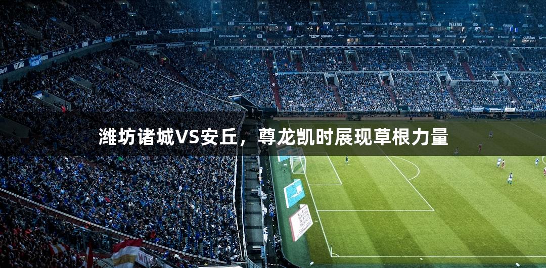 潍坊诸城VS安丘，尊龙凯时展现草根力量