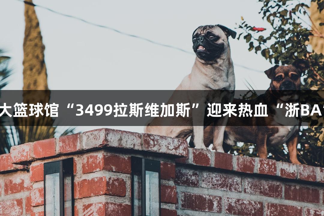全省最大篮球馆“3499拉斯维加斯”迎来热血“浙BA”赛事！