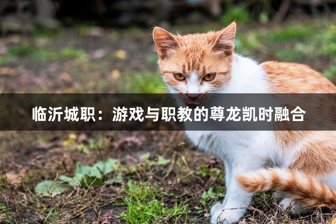 临沂城职：游戏与职教的尊龙凯时融合