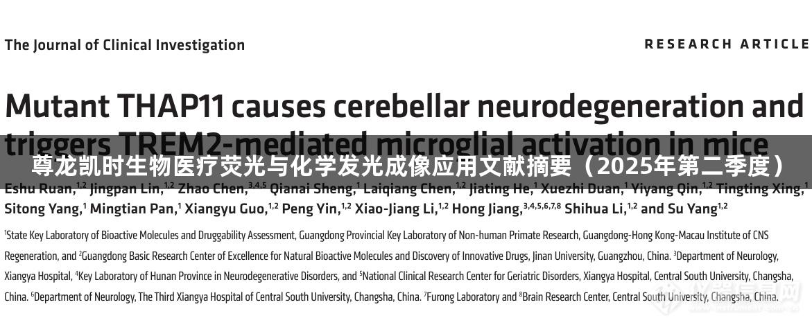 尊龙凯时生物医疗荧光与化学发光成像应用文献摘要（2025年第二季度）