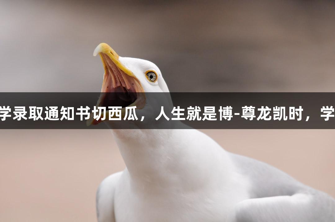 北京化工大学录取通知书切西瓜，人生就是博-尊龙凯时，学历真“硬”!