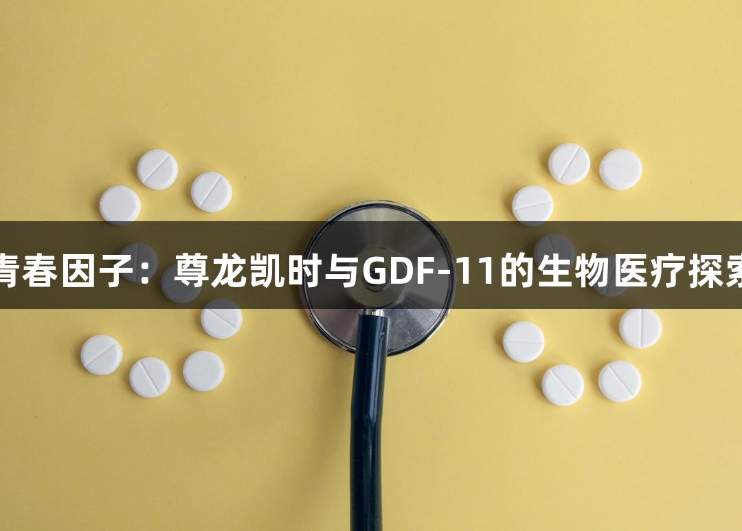 青春因子：尊龙凯时与GDF-11的生物医疗探索